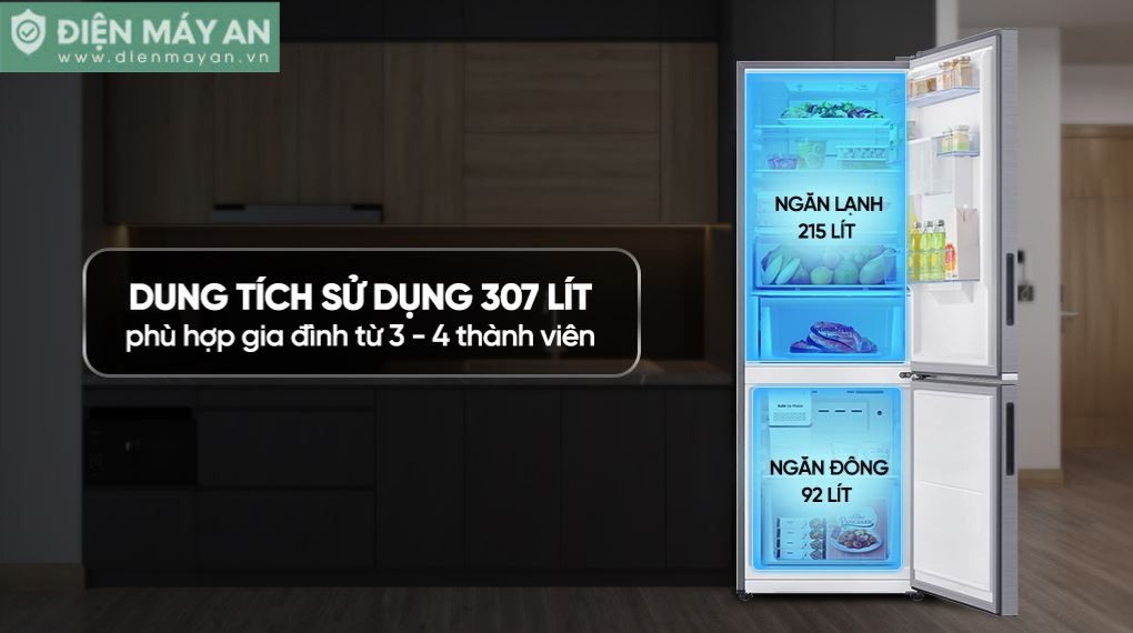 Tủ lạnh Samsung Inverter 307 lít RB30N4190S9/SV